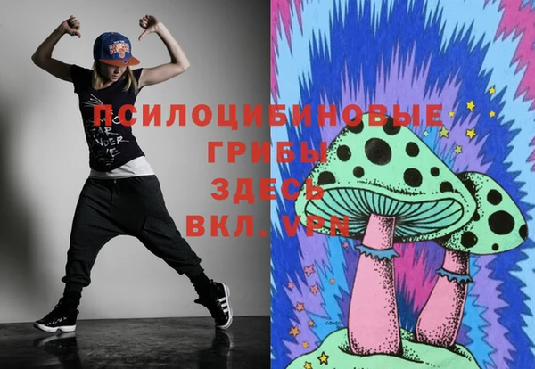 МДМА Алексеевка