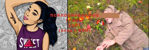 МДМА Алексеевка