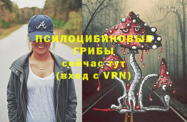 МДМА Алексеевка